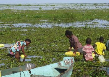 Off wetlands: Luuka RDC tells encroachers