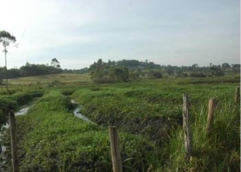 Off wetlands: Luuka RDC tells encroachers