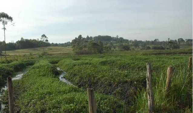 Off wetlands: Luuka RDC tells encroachers