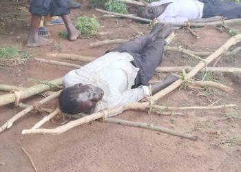 Three Namatumba family members drown on L. Kyoga