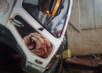 Rukungiri DMC truck kills two including its own driver in a nasty accident