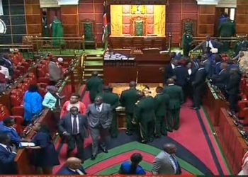 Chaos In Parliament as Speaker rules to remove Opposition Whip. MPs shout the speaker down