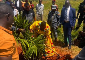 Minister Babalanda Assures Oil Palm Investors & Outgrowers About Land Compensation