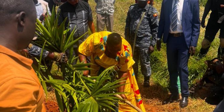 Minister Babalanda Assures Oil Palm Investors & Outgrowers About Land Compensation