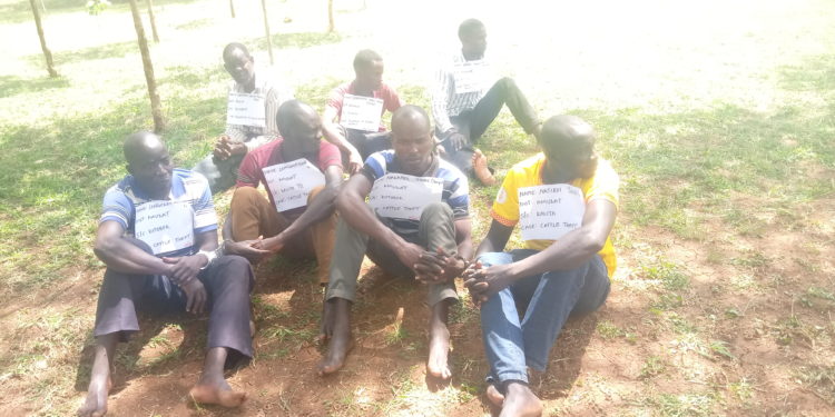 4 LC Chairpersons among the 24 arrested in alleged cattle theft