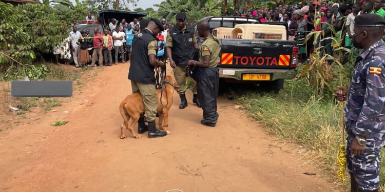 Gunmen use dead businessman’s car to flee after gunning him down