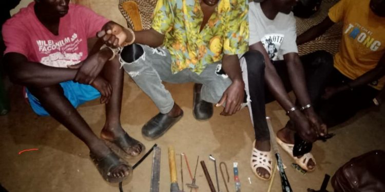 Notorious criminal gang netted in Joint Security Operation 