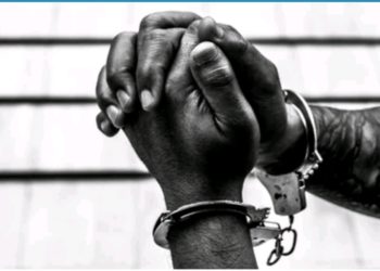 Jinja councillor and LC1 chairperson in custody over land fraud