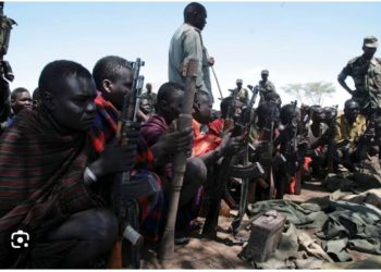 Cattle raiders attack UPDF personnel on night patrol 