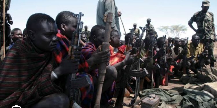 Cattle raiders attack UPDF personnel on night patrol 