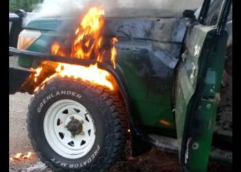 ADF attack: Two foreign tourists, one Ugandan killed in Queen Elizabeth National Park