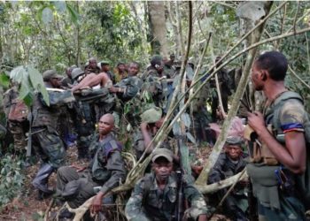 Again: ADF rebels slaughter 3 in latest raid on Kamwenge district