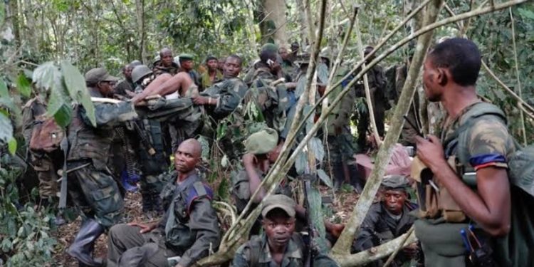 Again: ADF rebels slaughter 3 in latest raid on Kamwenge district