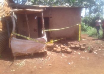 Woman murdered with her only grandchild, Jinja police launch manhunt for murderers  