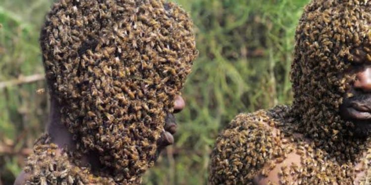 Bees attack Iganga Pastor for sleeping with someone’s wife