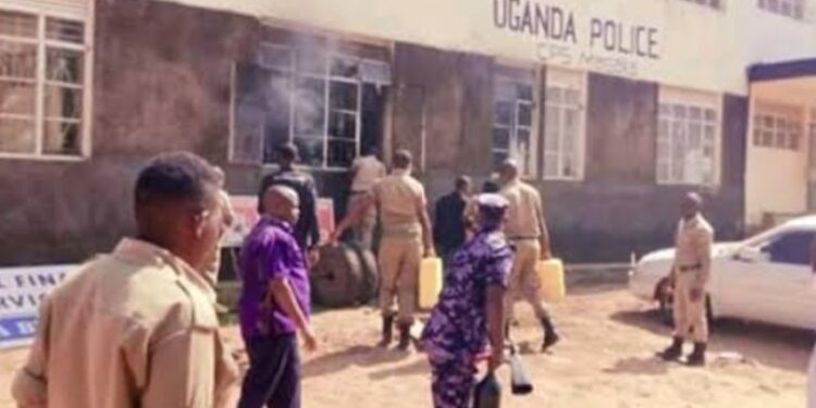 Heartless: Three kill innocent neighbor over 2Kg of coffee stolen by another person