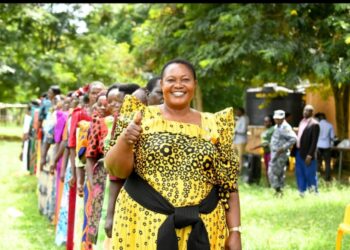 NRM Postpones MP Flag Bearer Elections 