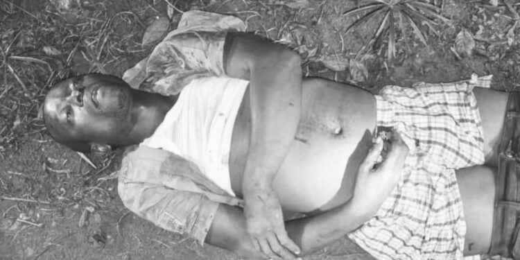 Sowedi’s Killing Sparks Outrage as Police, MP Muzaale Give Conflicting Accounts