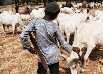 30 killed in clashes in Nigeria