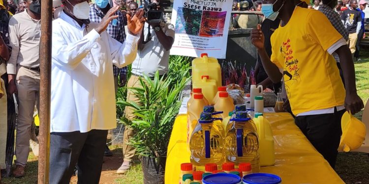 Museveni Commends Oil Palm Uganda Limited Over Development