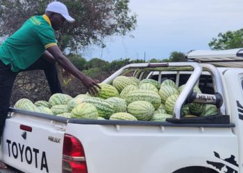 Kibaale RDC tips farmers to tap into opportunities from the oil and gas sector