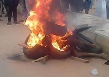Two livestock thieves beaten to pulp, tied up and burnt to death in Jinja city