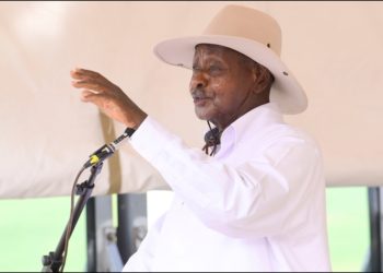 President Museveni reaffirms his ban on timber export 