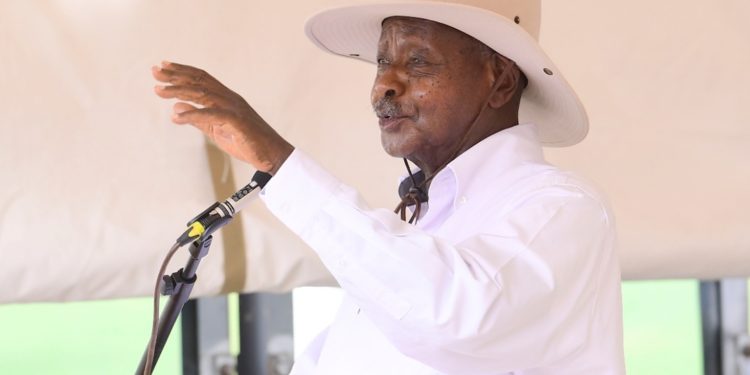 President Museveni reaffirms his ban on timber export 