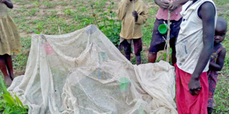 Namayingo Deputy RDC warns residents against misusing mosquito nets