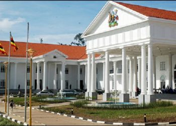 Faruk Kirunda: State House is more useful than haters think