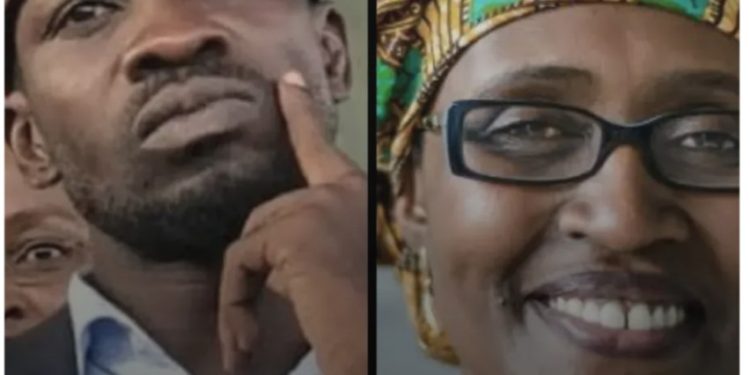 Bobi Wine, Winnie Byanyima fight over gay funds