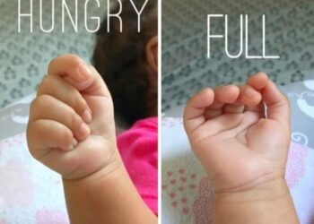 Understanding Baby Cues: How Your Baby’s Hands Can Signal Hunger or Fullness
