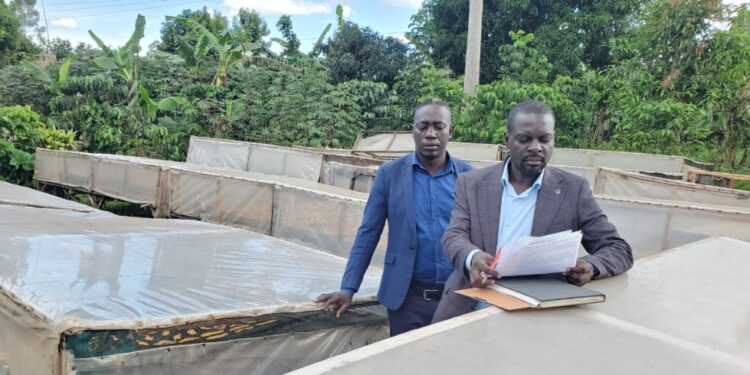 Opinion: Labour Day: A Tribute to the Hands That Build Uganda