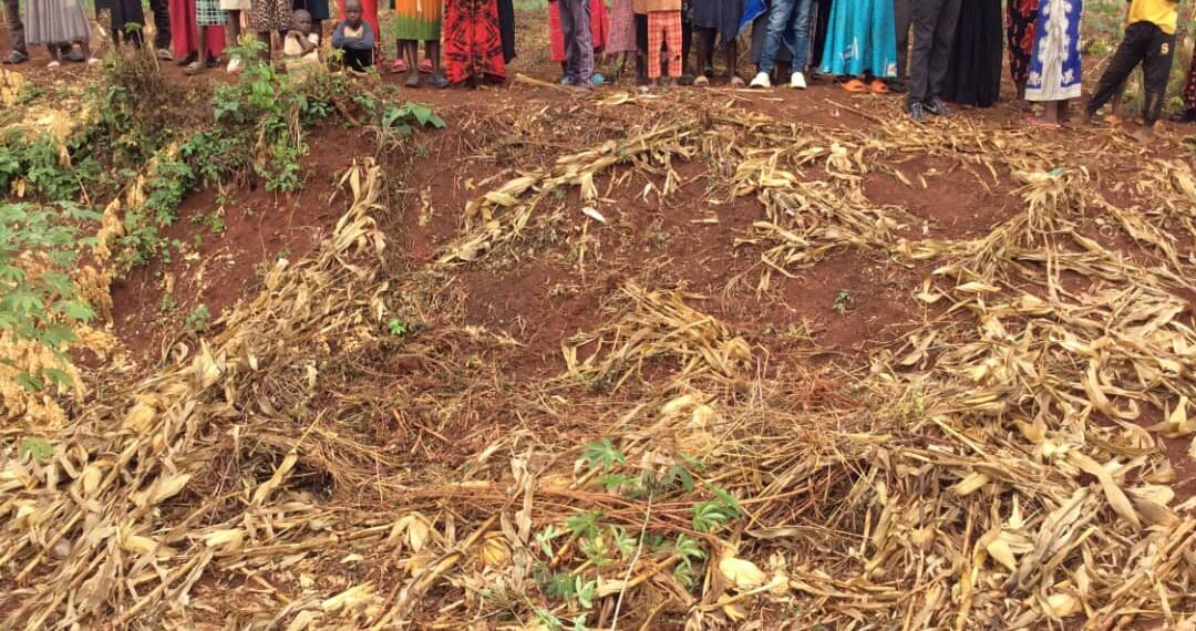Man Brutally Murdered, Motorcycle and Documents Stolen in Jinja