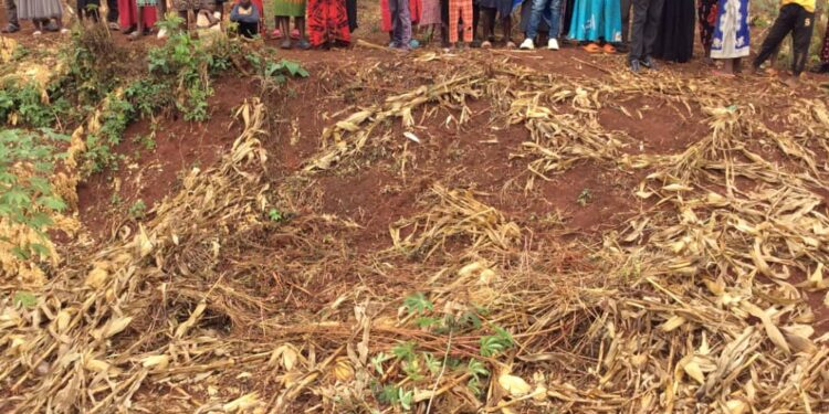 Man Brutally Murdered, Motorcycle and Documents Stolen in Jinja