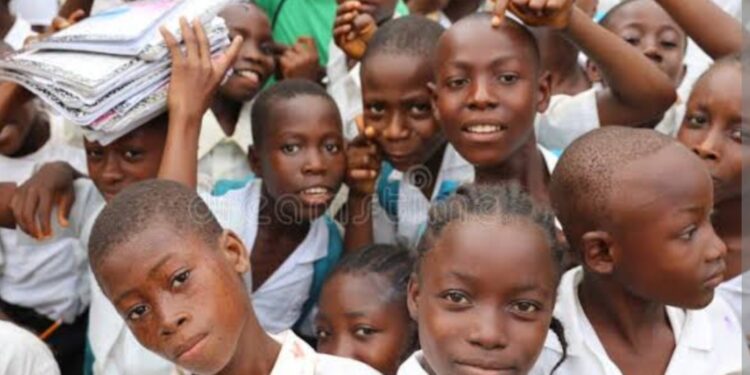 “It’s Mandatory”: Minister Orders RDCs to Crack Down on Schools Without Nurses Amid Malaria Surge