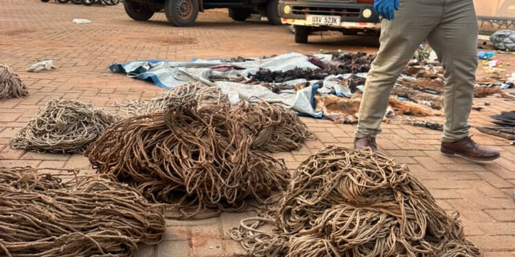 22 Arrested With Suspected Wild Meat, Hunting Gear In Nakaseke