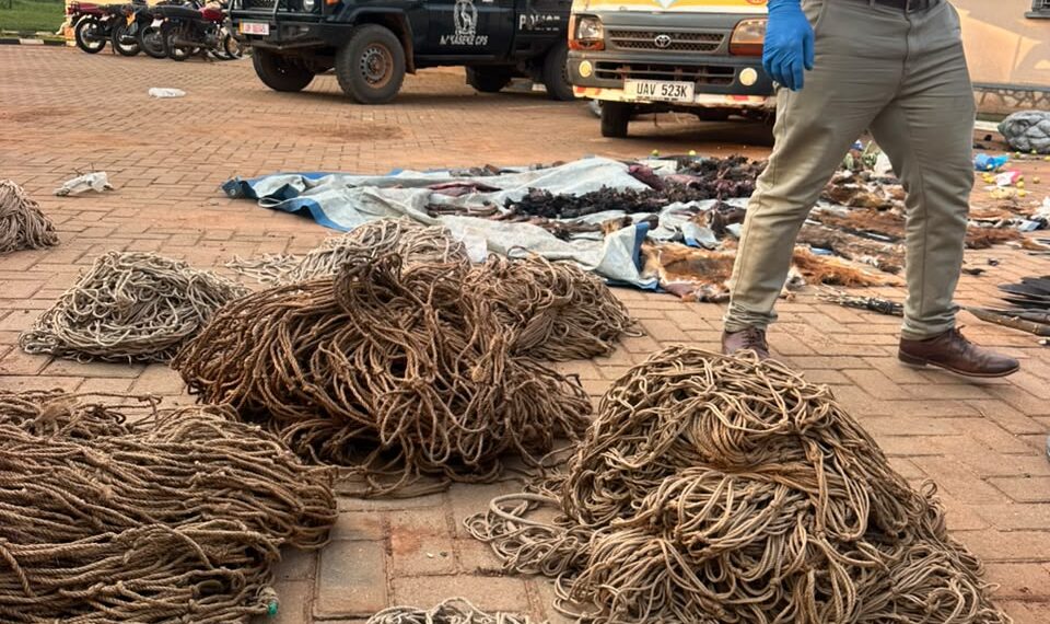 22 Arrested With Suspected Wild Meat, Hunting Gear In Nakaseke