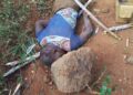 33-Year-Old Man Killed By Mob Over Two Suspected Stolen Hens In Bugiri