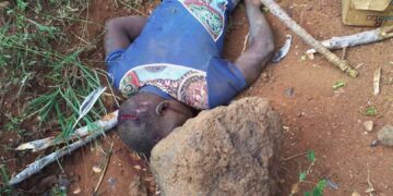 33-Year-Old Man Killed By Mob Over Two Suspected Stolen Hens In Bugiri