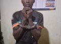 His 40 Days Are Over: Suspected Bugweri Cattle Thief Arrested, Two Stolen Cows Recovered