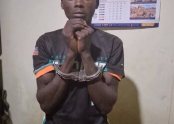 His 40 Days Are Over: Suspected Bugweri Cattle Thief Arrested, Two Stolen Cows Recovered