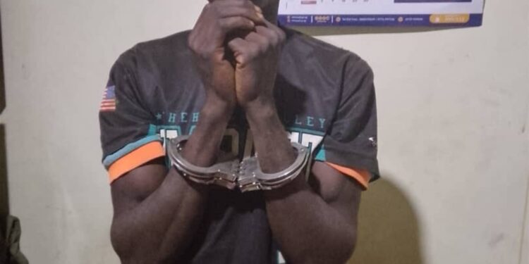 His 40 Days Are Over: Suspected Bugweri Cattle Thief Arrested, Two Stolen Cows Recovered